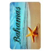 Seesterne Magnet (Vertikal)