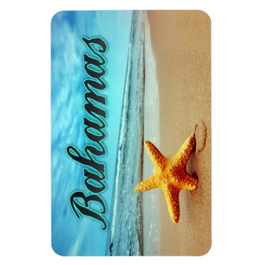 Seesterne Magnet (Vertikal)