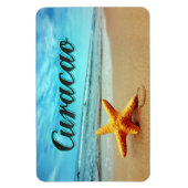 Seesterne Magnet (Vertikal)