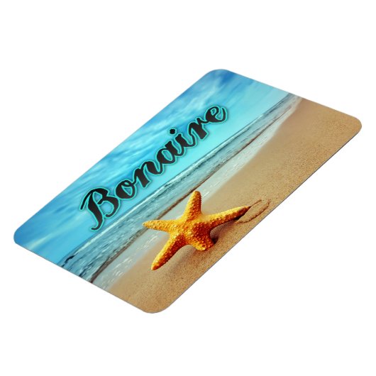 Seesterne Magnet (Linke Seite)