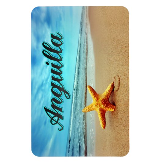 Seesterne Magnet (Vertikal)