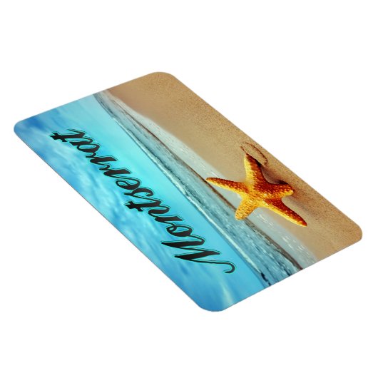 Seesterne Magnet (Rechte Seite)