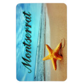 Seesterne Magnet (Vertikal)