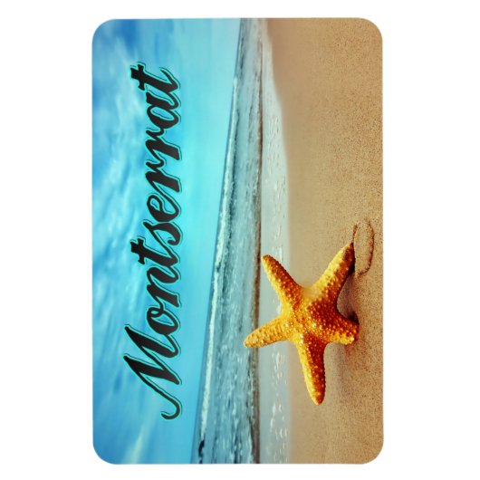 Seesterne Magnet (Vertikal)