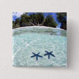 Seesterne, Rock Islands, Palau 2 Button