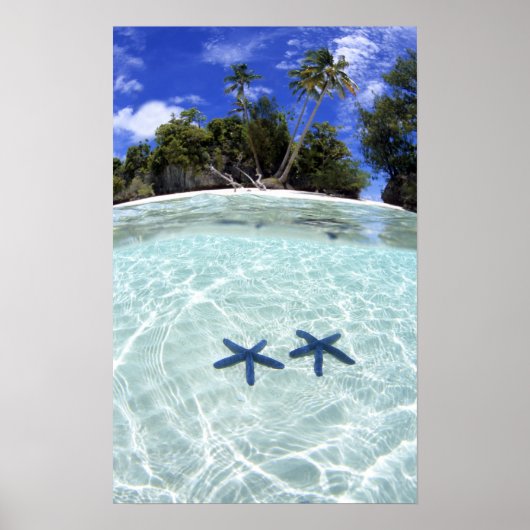 Seesterne, Rock Islands, Palau 2 Poster (Vorne)