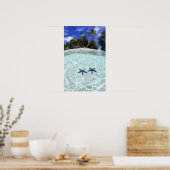 Seesterne, Rock Islands, Palau 2 Poster (Küche)