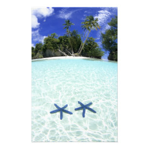 Seesterne, Rock Islands, Palau Fotodruck