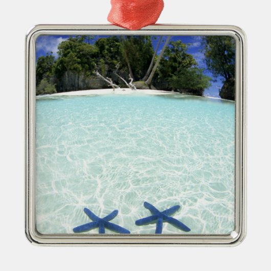 Seesterne, Rock Islands, Palau Silbernes Ornament (Vorne)