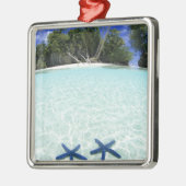 Seesterne, Rock Islands, Palau Silbernes Ornament (Links)