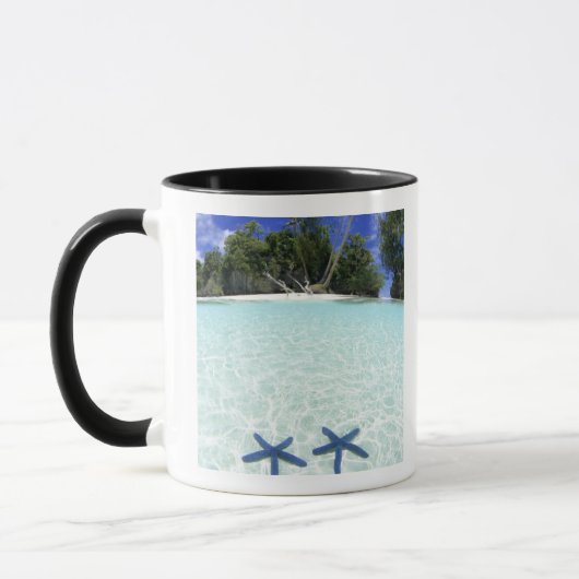 Seesterne, Rock Islands, Palau Tasse (Links)