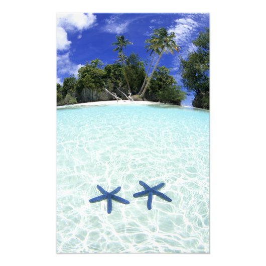 Seesterne, Rockinseln, Palau Fotodruck (Vorne)