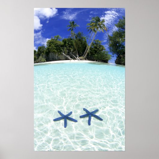 Seesterne, Rockinseln, Palau Poster (Vorne)
