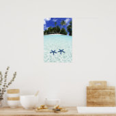 Seesterne, Rockinseln, Palau Poster (Küche)