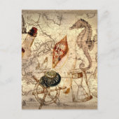 Seesterne seashell Nautical Map Postkarte (Vorderseite)