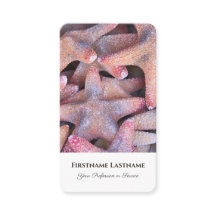 Seesterne-Seesterne-Agent