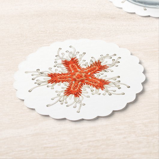 Seesterne Untersetzer (angewinkelt)