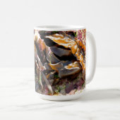 SEETANG KAFFEETASSE (VorderseiteRechts)