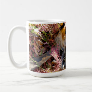 SEETANG KAFFEETASSE