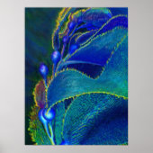 Seetang Poster (Vorne)