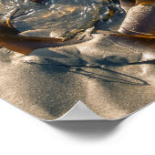 Seetang Poster/Print Poster (Ecke)