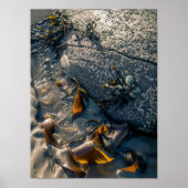 Seetang Poster/Print Poster (Vorne)