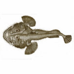 SEEteufel-FISCHE - Untersetzer Freistehende Fotoskulptur<br><div class="desc">SEEteufel-FISCHE - einer der beängstigendsten Fische im Ozean. Dieses ist ein Fisch,  der verdient,  ausgestorben zu sein. Imagine fischend und in diese Schönheit ziehend. Dieses Bild kommt von einem echten antiken Druck von ungefähr 1800.  Ein anderes feines Produkt von Ann T. Quarina Designs.</div>