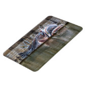 Seeteufel Magnet (Linke Seite)