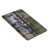 Seeteufel Magnet (Rechte Seite)