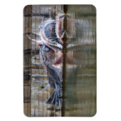 Seeteufel Magnet (Vertikal)