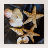 Seeteufel Muscheln Meereswelt Strand noch Leben Fo Puzzle (Horizontal)