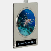 Seeteufel oder Seemeilen, Seefische der Ocean Reef Banner-Ornament Silber (Rechts)