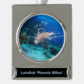 Seeteufel oder Seemeilen, Seefische der Ocean Reef Banner-Ornament Silber (Vorderseite)