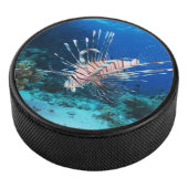 Seeteufel oder Seemeilen, Seefische der Ocean Reef Eishockey Puck (3/4)