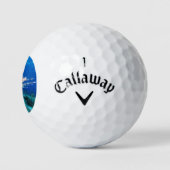 Seeteufel oder Seemeilen, Seefische der Ocean Reef Golfball (Logo)