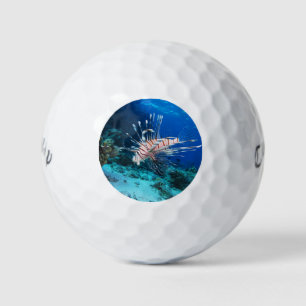 Seeteufel oder Seemeilen, Seefische der Ocean Reef Golfball
