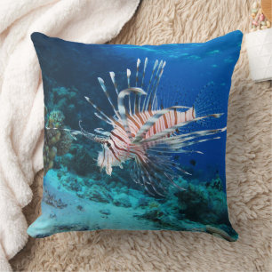 Seeteufel oder Seemeilen, Seefische der Ocean Reef Kissen
