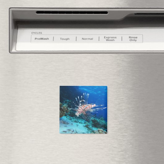 Seeteufel oder Seemeilen, Seefische der Ocean Reef Magnet (In Situ (Geschirrspüler))