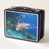Seeteufel oder Seemeilen, Seefische der Ocean Reef Metall Brotdose (Rückseite)