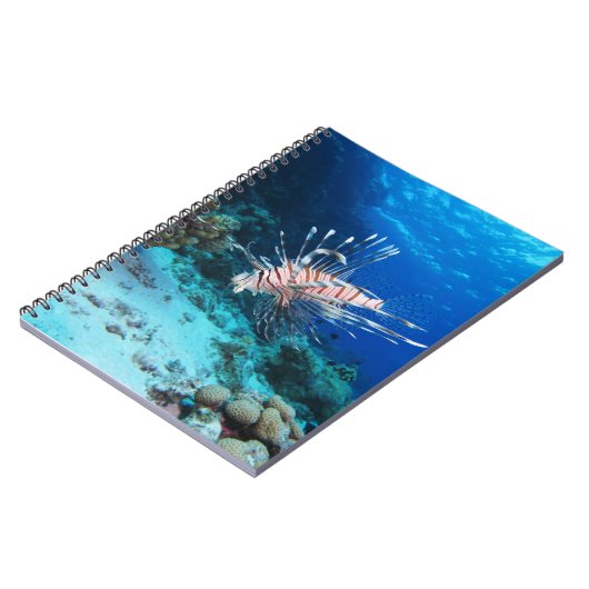 Seeteufel oder Seemeilen, Seefische der Ocean Reef Notizblock (Linke Seite)