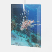 Seeteufel oder Seemeilen, Seefische der Ocean Reef Ornament Aus Glas (Vorderseite links)