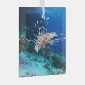 Seeteufel oder Seemeilen, Seefische der Ocean Reef Ornament Aus Glas (Vorderseite Rechts)