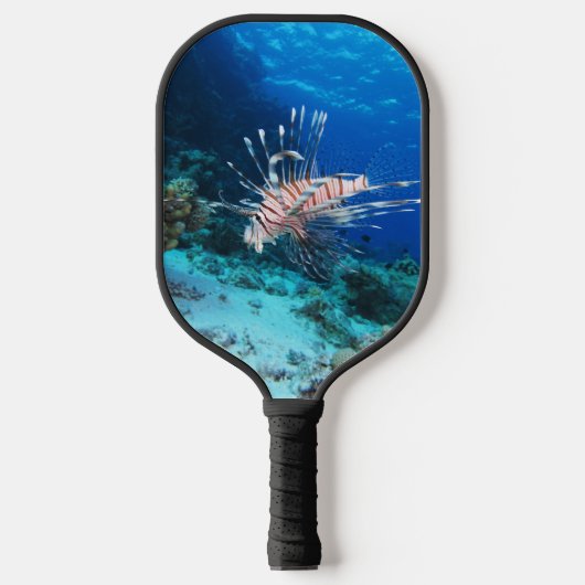 Seeteufel oder Seemeilen, Seefische der Ocean Reef Pickleball Schläger (Vorderseite)