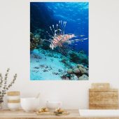 Seeteufel oder Seemeilen, Seefische der Ocean Reef Poster (Küche)