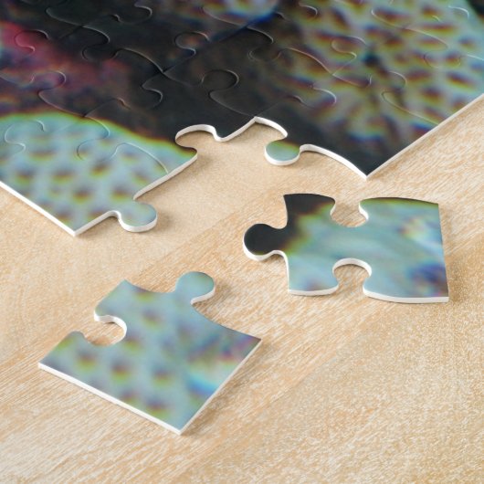 Seeteufel oder Seemeilen, Seefische der Ocean Reef Puzzle (Seite)