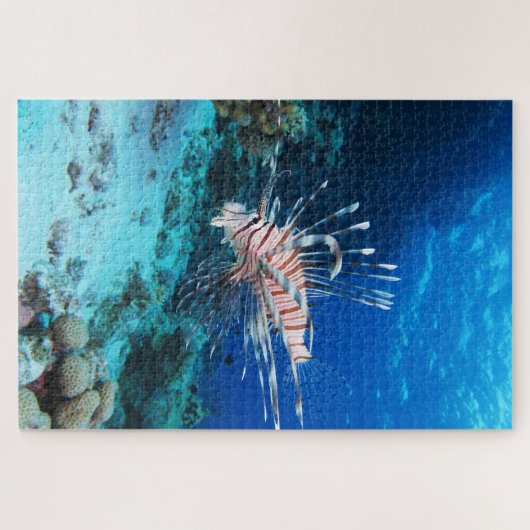 Seeteufel oder Seemeilen, Seefische der Ocean Reef Puzzle (Horizontal)