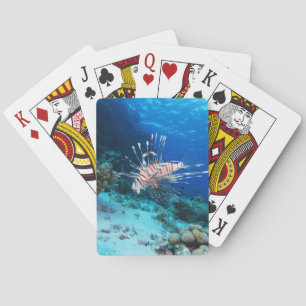 Seeteufel oder Seemeilen, Seefische der Ocean Reef Spielkarten