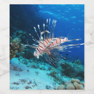 Seeteufel oder Seemeilen, Seefische der Ocean Reef Weinetikett