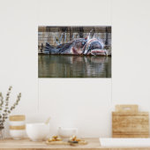 Seeteufel Poster (Küche)