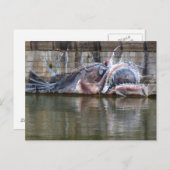 Seeteufel Postkarte (Vorne/Hinten)